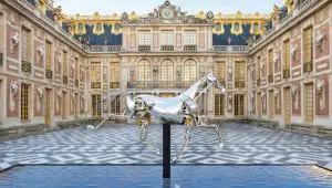 Lire la suite à propos de l’article Lyon : L’Hôtel de ville accueille Zeus, le cheval polémique des Jeux Olympiques de Paris 2024