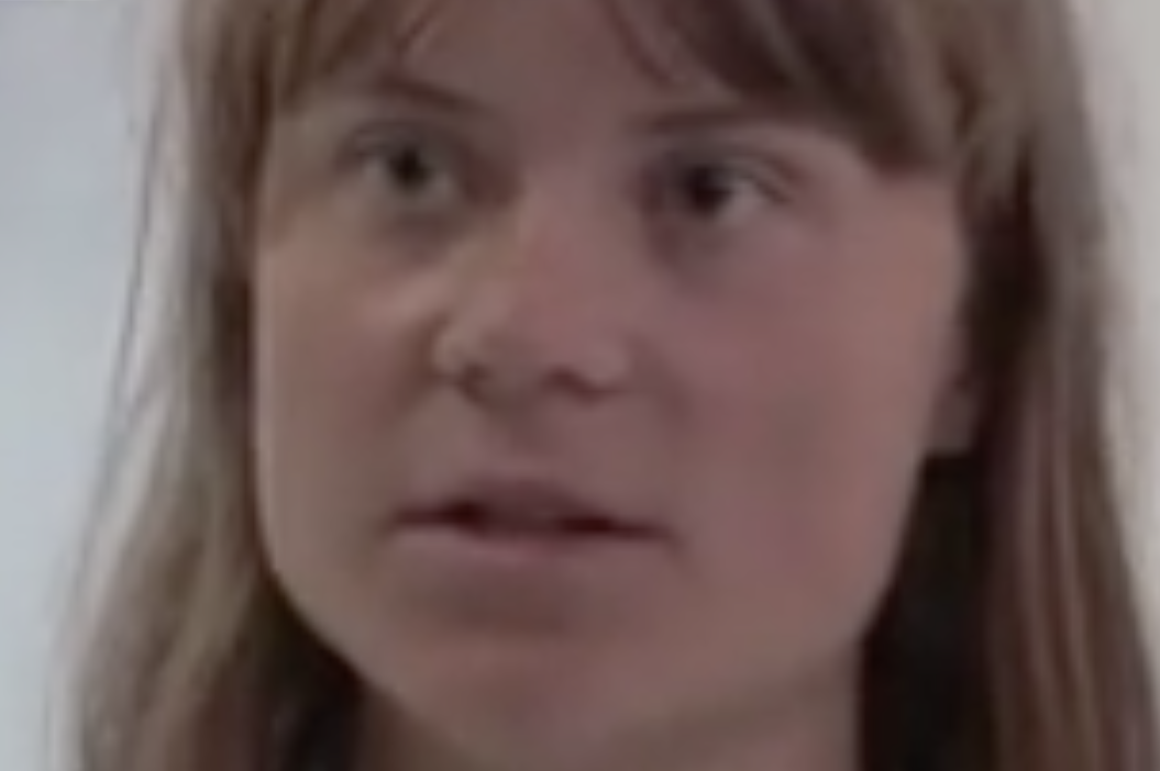 You are currently viewing Gaza : Greta Thunberg dénonce un « kidnapping » en mer et accuse Israël de bloquer illégalement l’aide humanitaire