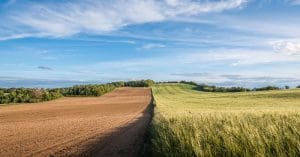 Lire la suite à propos de l’article La Commission européenne propose des dérogations aux règles de la PAC pour 2024 pour permettre aux agriculteurs de faire face à ces « temps de grande incertitude »