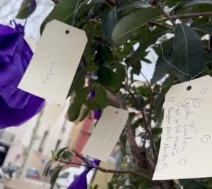 Lire la suite à propos de l’article Sète : « L&rsquo;arbre de la journée de la femme » invitait à la célébration et à la solidarité