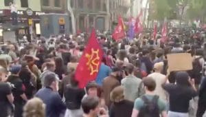 Lire la suite à propos de l’article Toulouse : La ville rose résiste à la montée bleu marine 