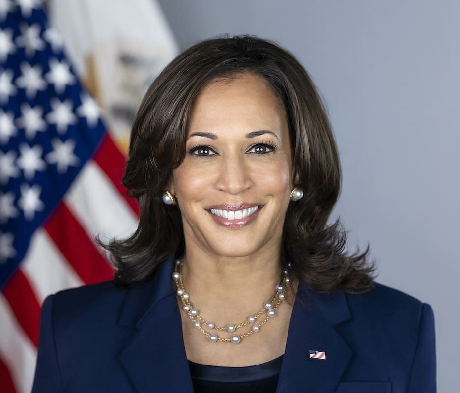You are currently viewing Etats-Unis : Kamala Harris investie par vote électronique ?