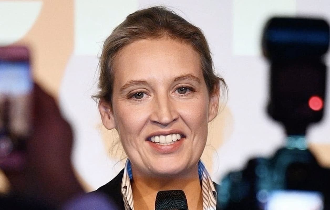 You are currently viewing Allemagne – L&rsquo;AfD célèbre un score « historique » aux législatives