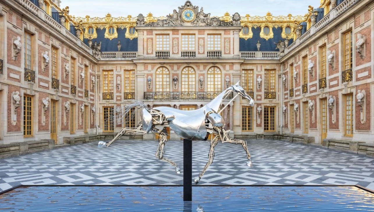 You are currently viewing Lyon : L&rsquo;Hôtel de ville accueille Zeus, le cheval polémique des Jeux Olympiques de Paris 2024