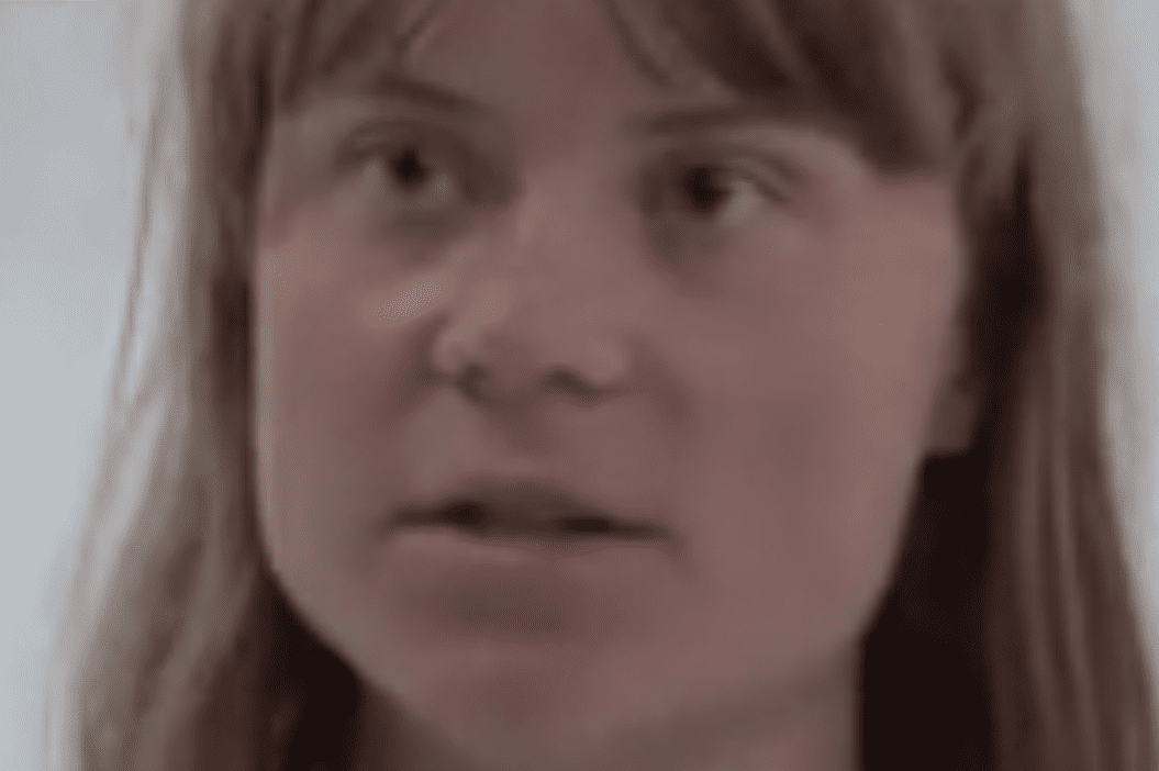 You are currently viewing Gaza : Greta Thunberg dénonce un « kidnapping » en mer et accuse Israël de bloquer illégalement l’aide humanitaire