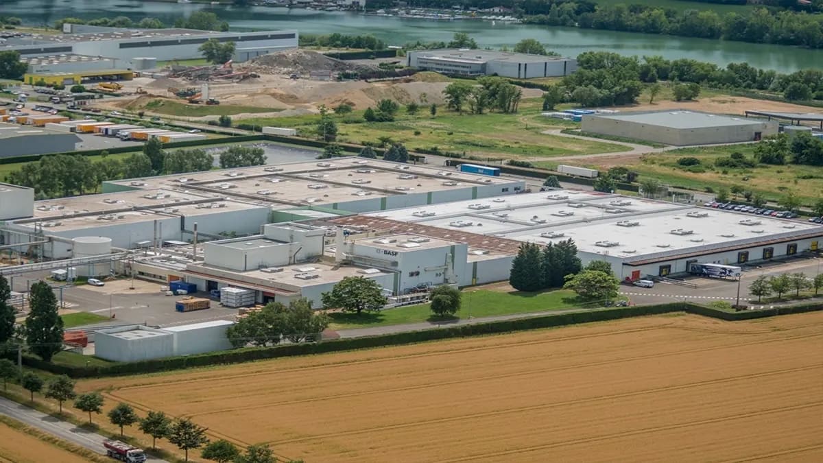 You are currently viewing Genay : des militants écologistes s’introduisent sur le site Seveso de BASF, un homme interpellé