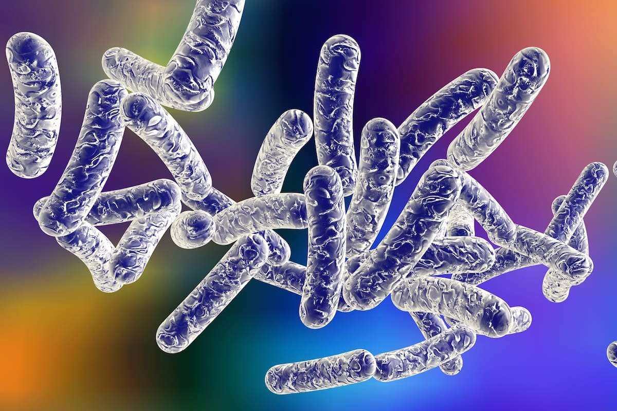 You are currently viewing Légionellose à Albertville : l’ARS alerte sur une possible aggravation de la situation