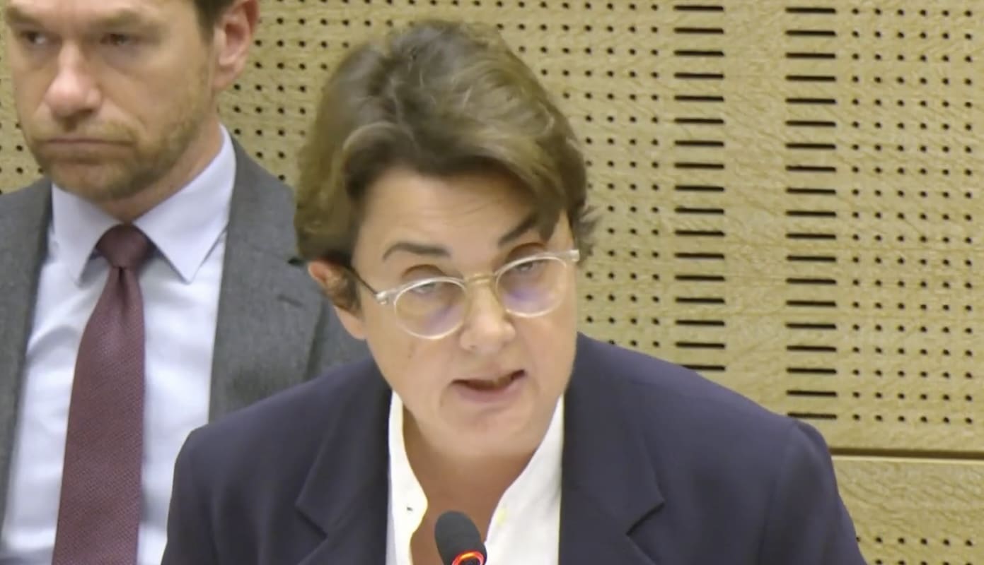 You are currently viewing Cambriolage du Louvre : devant le Sénat, Laurence des Cars évoque un parc de surveillance périmétrique « très insuffisant »