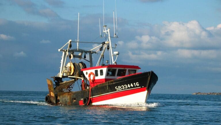 Lire la suite à propos de l’article Pêche durable : la France marque le pas face au changement climatique et à la surexploitation