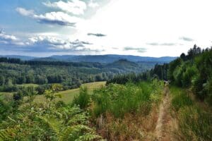 Lire la suite à propos de l’article Route en Haute-Vienne : une 2×2 voies à 132 millions d’euros enflamme la contestation locale