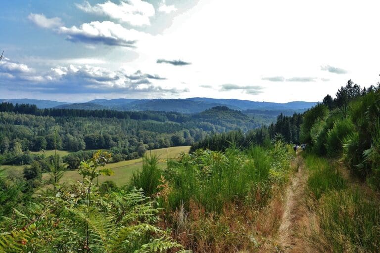 Lire la suite à propos de l’article Route en Haute-Vienne : une 2×2 voies à 132 millions d’euros enflamme la contestation locale