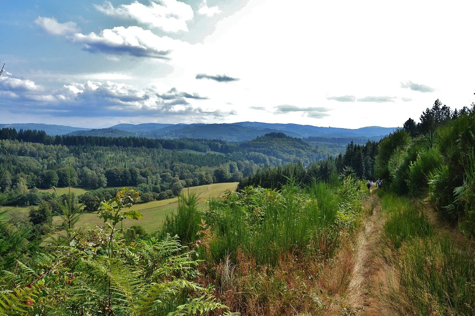 You are currently viewing Route en Haute-Vienne : une 2×2 voies à 132 millions d’euros enflamme la contestation locale
