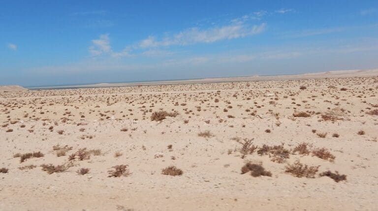 Lire la suite à propos de l’article Sahara occidental : l’ONU valide le plan marocain et ouvre la voie à des négociations historiques