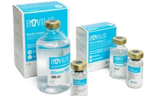 Lire la suite à propos de l’article DNC : les débats autour du vaccin Lumpyvax de Merck