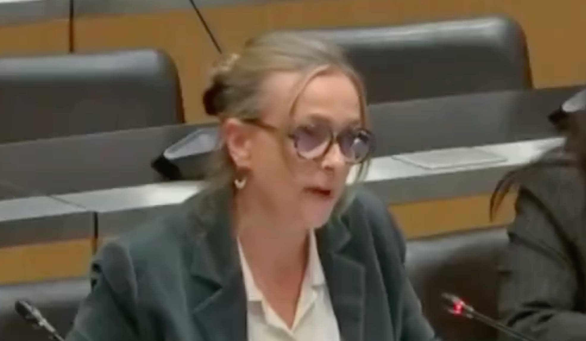 You are currently viewing France Télévisions vs CNews : Delphine Ernotte recadrée en commission par la députée RN Anne Sicard