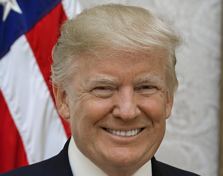 You are currently viewing Epstein-Trump : des emails exhumés révèlent le mépris du financier pour le président américain