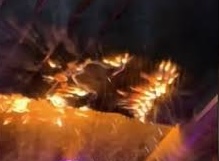 Image : Capture d'écran. 