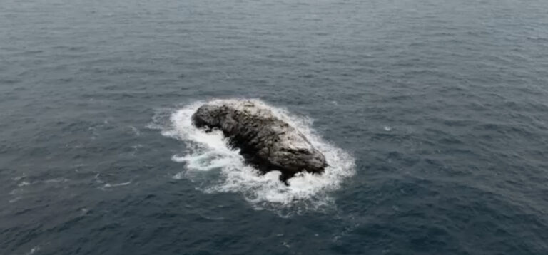 Lire la suite à propos de l’article Antarctique : une île fantôme révélée en pleine tempête intrigue les scientifiques
