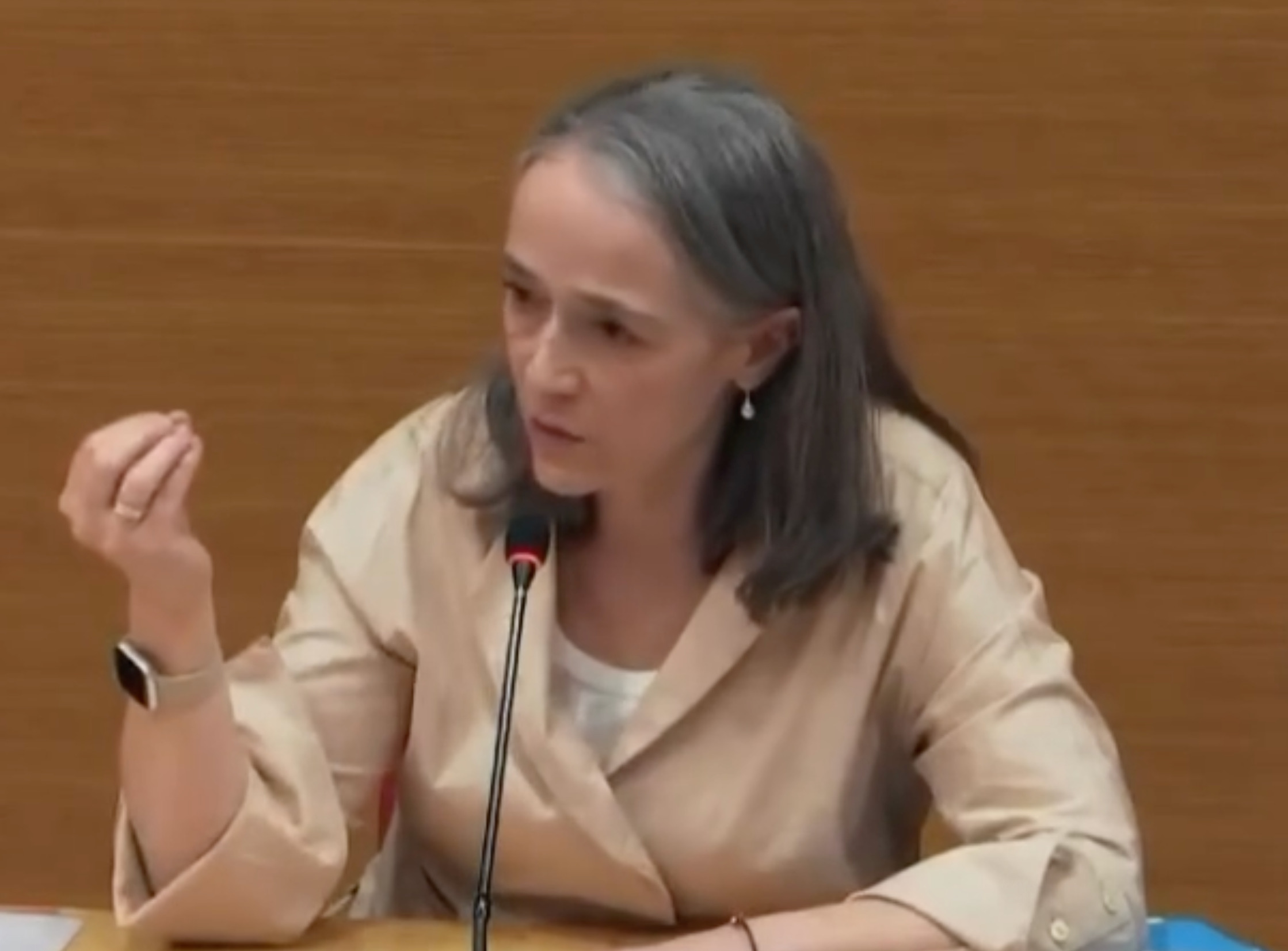 Delphine Ernotte. Image : Capture d'écran.