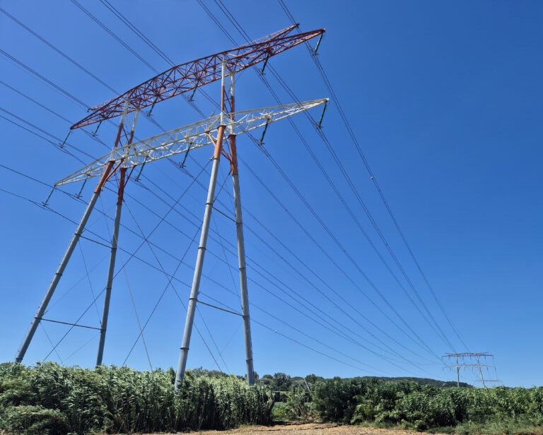 Lire la suite à propos de l’article Réseau sous tension : pourquoi RTE a décidé d’encadrer le solaire et l’éolien ?