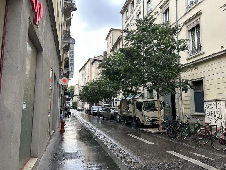 Lire la suite à propos de l’article Lyon : un homme poignardé en pleine rue, une agression brutale qui relance les inquiétudes