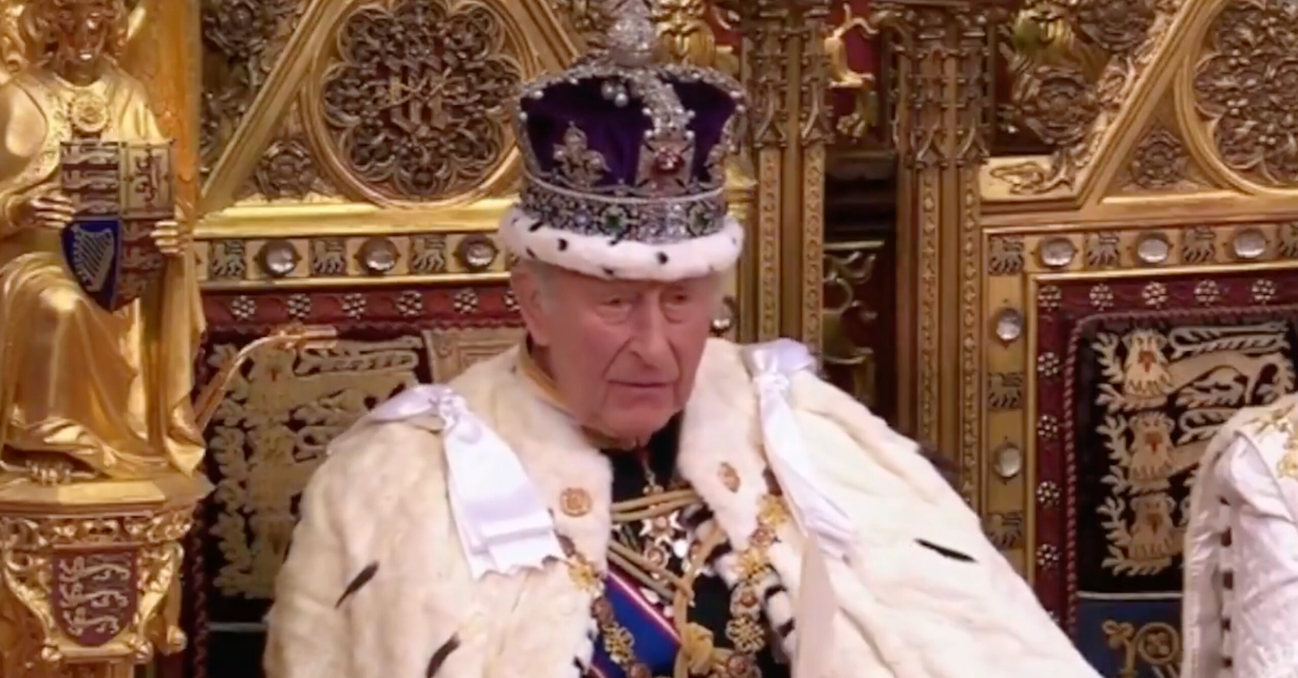 Le Roi Charles III. Image  : capture d'écran réseaux sociaux 