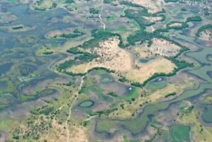 Lire la suite à propos de l’article Nigeria : des pêcheurs pris au piège des frappes tchadiennes sur le lac Tchad