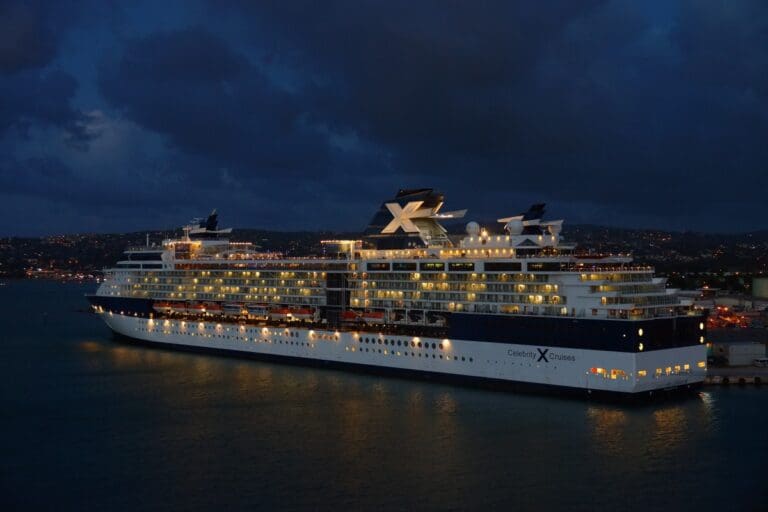 Lire la suite à propos de l’article Mexique : le gigantesque parc aquatique de Royal Caribbean suspendu après une mobilisation massive pour protéger les coraux des Caraïbes