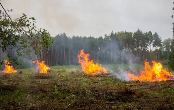 Lire la suite à propos de l’article Bouches-du-Rhône : le département placé en vigilance orange face à un risque élevé de feux de forêt