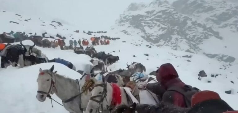Lire la suite à propos de l’article Everest : un marathon à 5 000 mètres au cœur d’une saison de fréquentation record sur le toit du monde