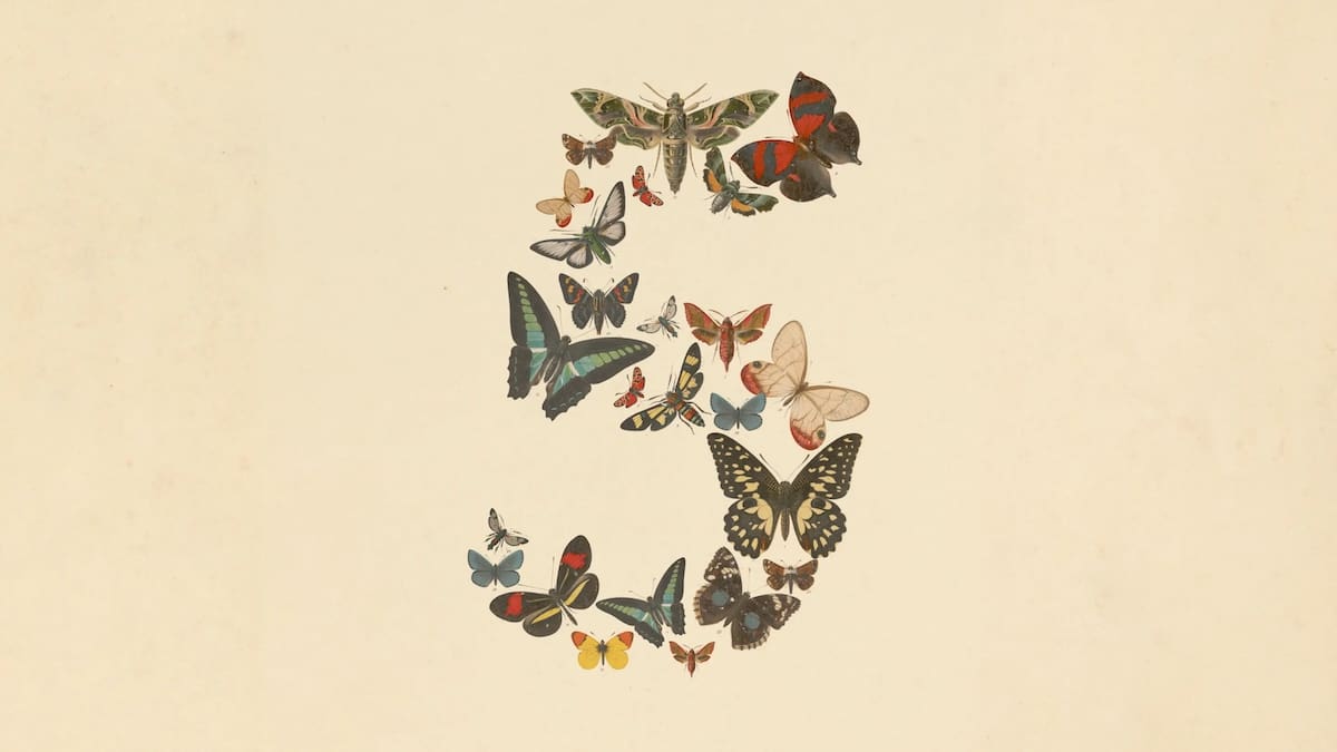 Image : @Anthropic