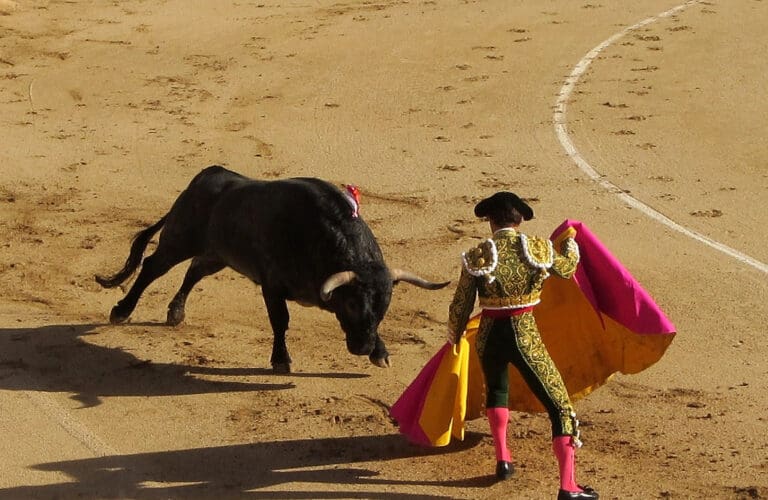 Lire la suite à propos de l’article Jeremstar : relaxé après son action anti-corrida dans les arènes de Nîmes, une décision qui relance le débat sur la tauromachie