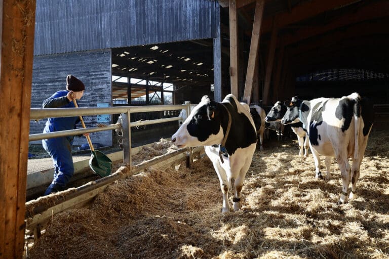 Lire la suite à propos de l’article Loi d’urgence agricole : après son adoption à l’Assemblée nationale, un examen décisif attendu au Sénat