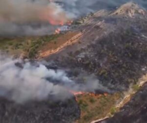 Lire la suite à propos de l’article Algérie : une vague d’incendies historique fait plusieurs morts et ravage des milliers d’hectares