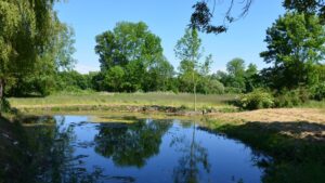 Lire la suite à propos de l’article Bassines : la justice ordonne le démantèlement de quatre réserves d’eau d’ici trois ans en Charente-Maritime
