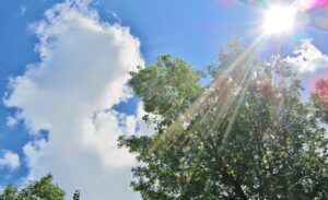 Lire la suite à propos de l’article Canicule : au moins 17 personnes sans abri sont mortes en dix jours en France