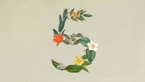 Lire la suite à propos de l’article Claude Sonnet 5 : des performances haut de gamme à prix réduit