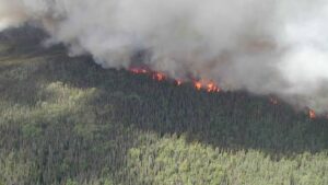 Lire la suite à propos de l’article Filière industrielle incendies : le gouvernement veut structurer un secteur stratégique face à la multiplication des feux