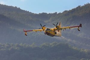 Lire la suite à propos de l’article Incendie de Fontainebleau : un feu exceptionnel ravage la forêt francilienne en pleine canicule