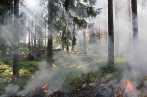Lire la suite à propos de l’article Incendies en Espagne : 12 morts en Andalousie, un bilan déjà supérieur à celui de toute l’année 2025