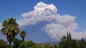 Lire la suite à propos de l’article Pyrocumulonimbus : comment les incendies historiques de Gironde ont créé leur propre orage de feu