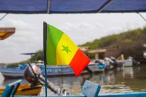 Lire la suite à propos de l’article Sénégal : la réforme institutionnelle rééquilibrant les pouvoirs entre le président et l’Assemblée nationale invalidée