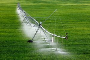 Lire la suite à propos de l’article Loi d’urgence agricole : un accord trouvé au Parlement malgré les vives tensions sur l’eau et les pesticides