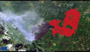 Lire la suite à propos de l’article Incendies en Gironde : 220 000 évacués, un exode inédit depuis 1940