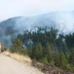 Un camion de pompiers face à un incendie de forêt, image d'illustration