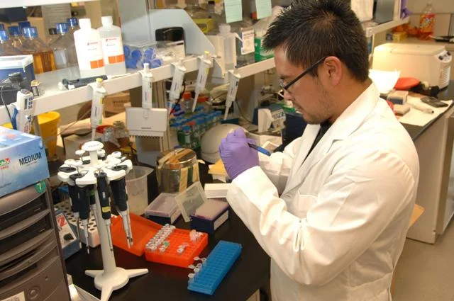 Scientifique en laboratoire médical analysant des échantillons de recherche