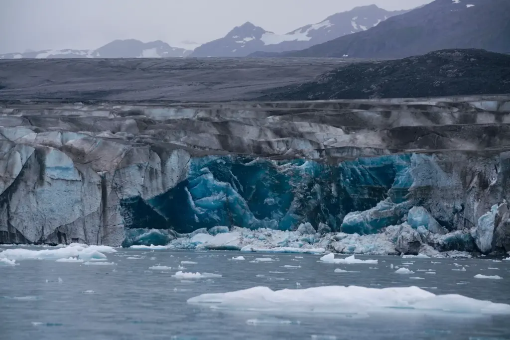 Glacier arctique fondant, icebergs flottant dans l'eau froide