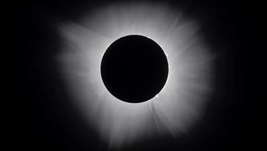 Couronne solaire visible lors d’une éclipse totale du Soleil