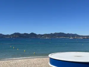 Lire la suite à propos de l’article Collision de bateaux à Cannes : un disparu et dix blessés
