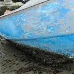Encrassement biologique (biofouling) sur une coque de bateau, balanes et organismes marins fixes